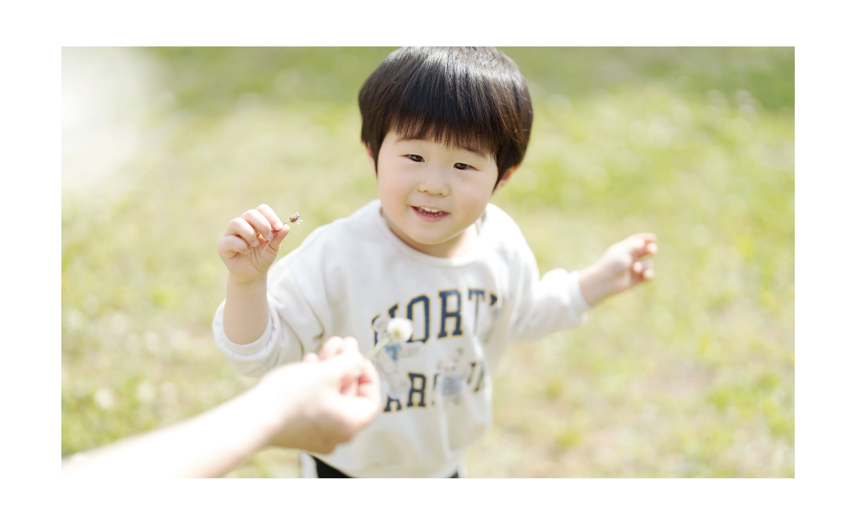 職員が子供にたんぽぽを手渡す様子